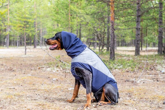 doberman raincoat