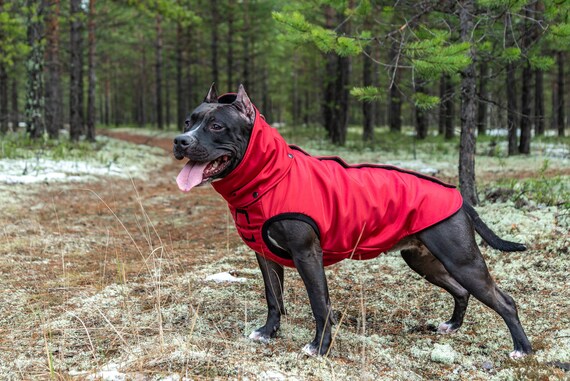 staffy jackets