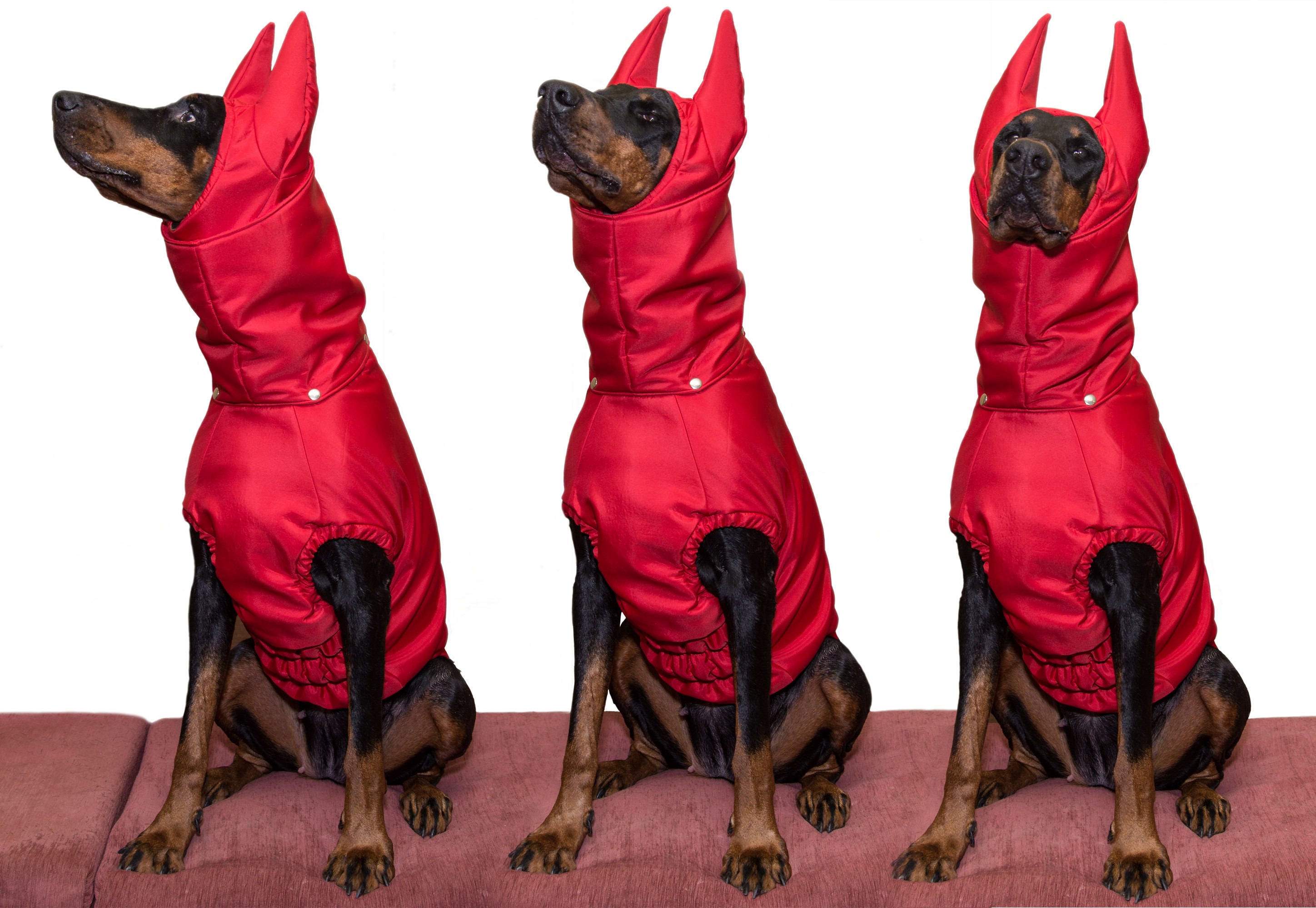 Dobermann Coats Pet Dog Winter Fall Rainy Weather Jackets Etsy