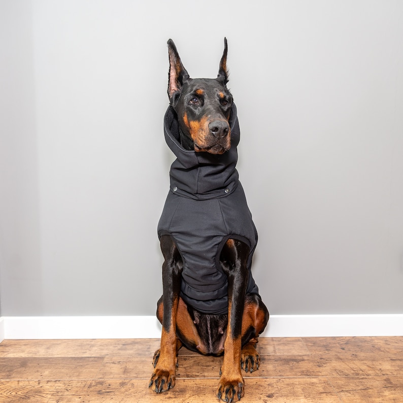 Doberman Pinscher Winter Dog Coat Winter Jacket Custom Etsy