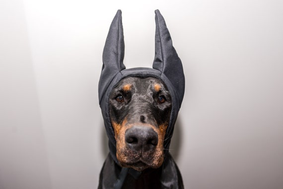 doberman hat