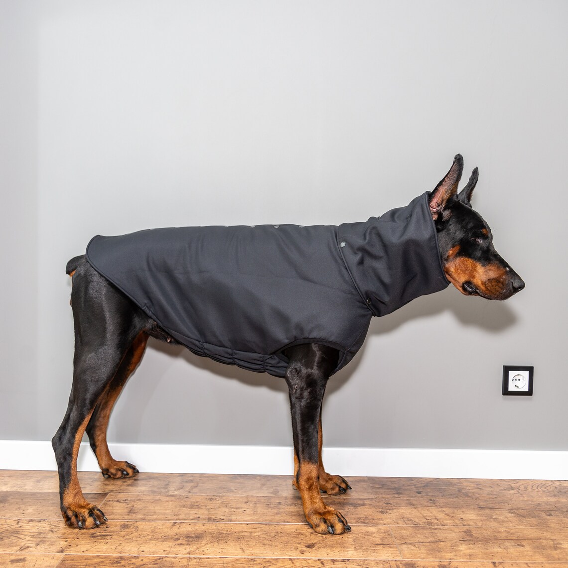Doberman Pinscher Winter Dog Coat Winter Jacket Custom Etsy