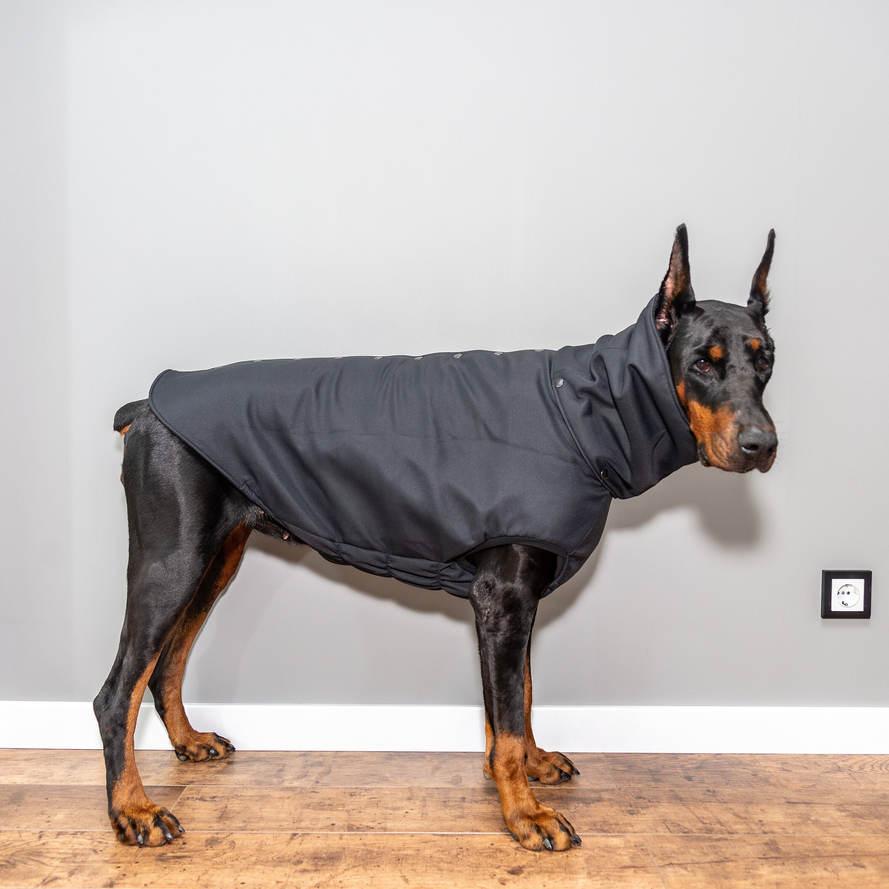 Doberman Pinscher Winter Dog Coat WinterJas Custom Etsy