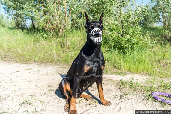smile muzzle