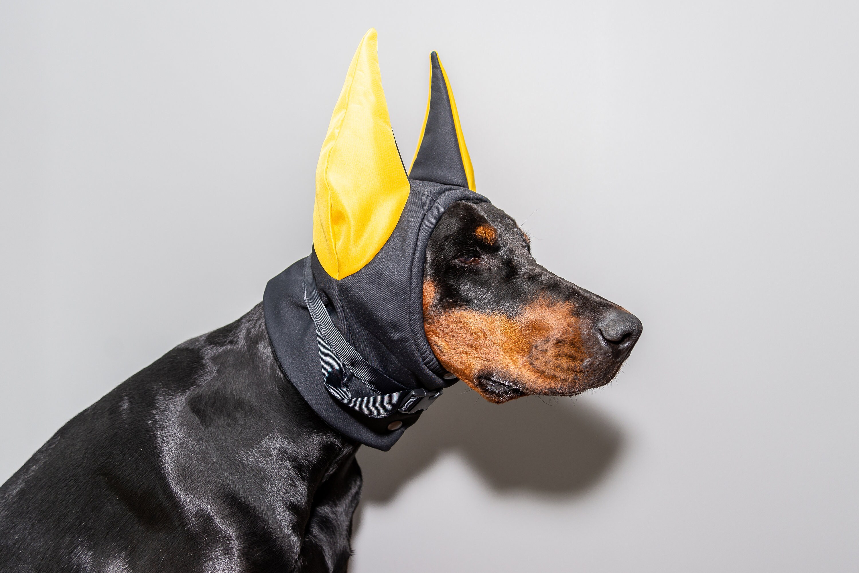 Black&Yellow Dog Winter Hat Doberman Warmer Pitbull Hat Etsy