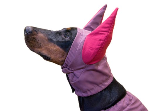 dog clothes for doberman
