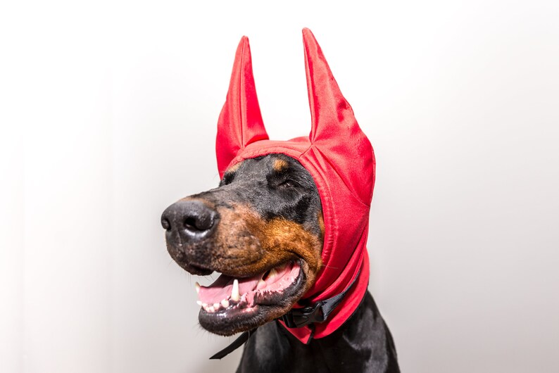 Doberman Winter Hat Doberman Warmer Dog Hat Dog Clothing Etsy