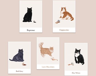 Set di 5 cartoline Coffee Cats