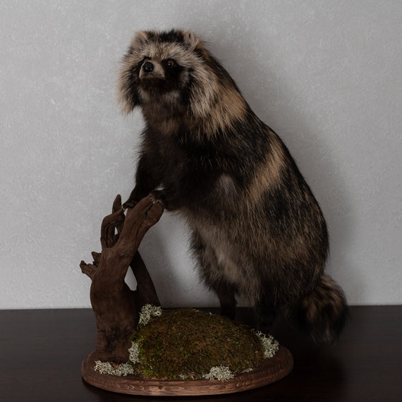 life size otter stuffed animal