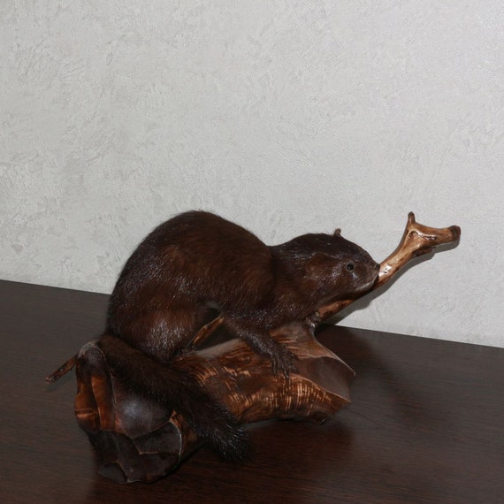 animaux peluche grandeur nature