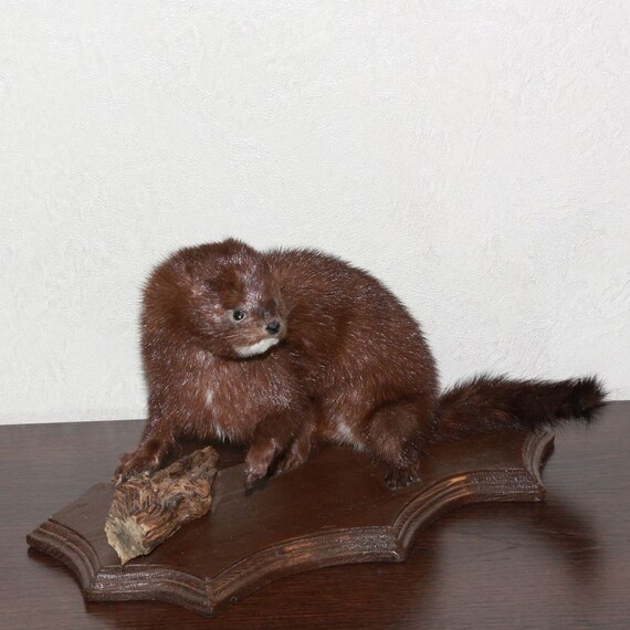 animaux peluche grandeur nature