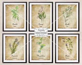 Printable French Country Herbs Watercolor Botanicals Antique French Backgrounds Kitchen Dining Room ~ DIY Instant Download ~ 6 8x10 Prints