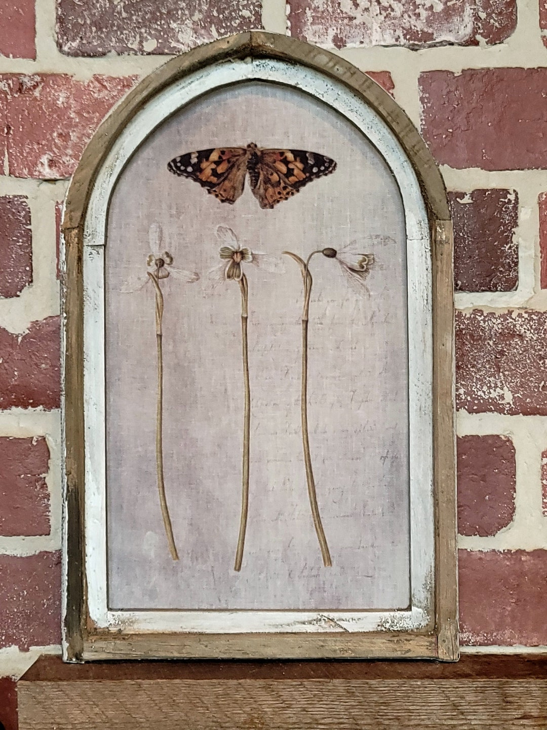 Framed Vintage Botanical Wall Art 14x22 Modern Etsy