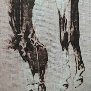 May include: A close-up of a black and white image of two horses' legs printed on a white fabric background.