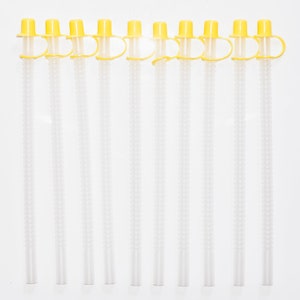 13 Inch Long Flexible Reusable Straws With Natural clear Straw Caps Set of  10 Free Shipping 