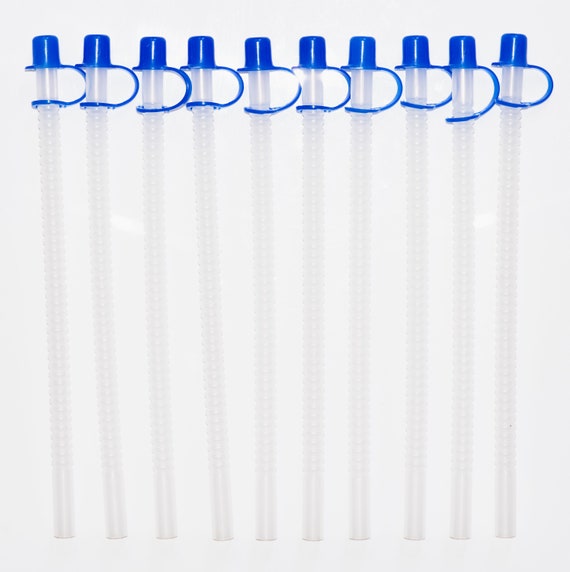 9 Inch Long Smooth Reusable Straws with Assortment F Straw Caps - Set of 10  - Free Shipping