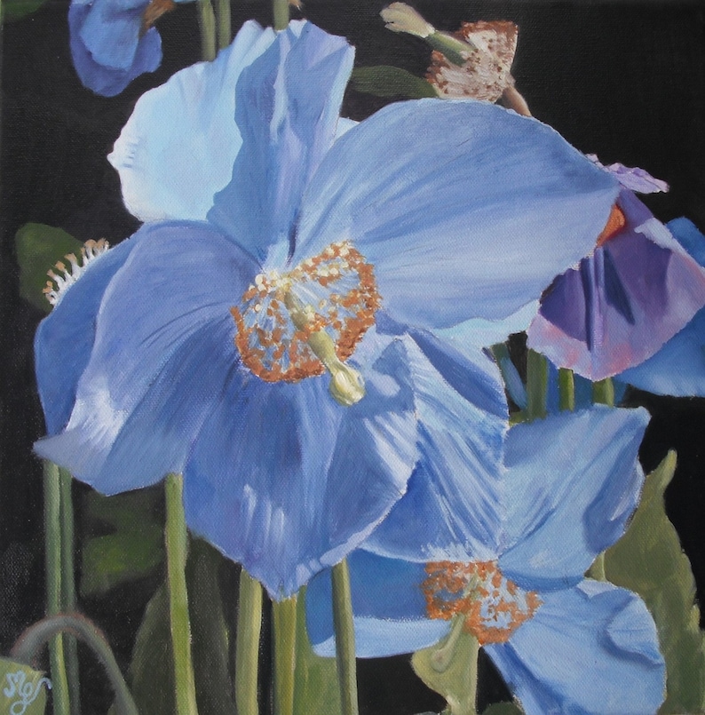 Poppy Year-end annual account flowers oil painting floral hyper Max 42% OFF green blue r nature