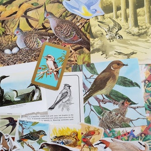 Vintage Papier Vogel Thema Ephemera Bilder Illustrationen Bilder von Vögeln für Kunst Handwerk Collage Decoupage Sammelalben Mixed Media Journal