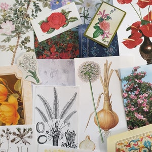 Vintage paper flowers floral flora plant botanical images pictures illustrations for art craft decoupage journals cards collage scrapbooks image 8