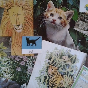 Gatos de papel vintage, gatinhos, leões, tigres, imagens e fotos de felinos, páginas de livros antigos para colagem de artesanato, álbuns de recortes, cartões de diário de lixo