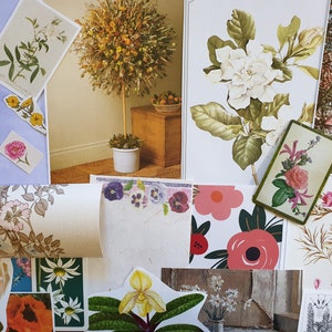 植物の画像、花、花の写真、ビンテージ本からのイラスト、アートクラフトジャーナルカードコラージュスクラップブック用の紙のエフェメラ
