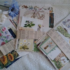 Vintage paper flowers floral flora plant botanical images pictures illustrations for art craft decoupage journals cards collage scrapbooks