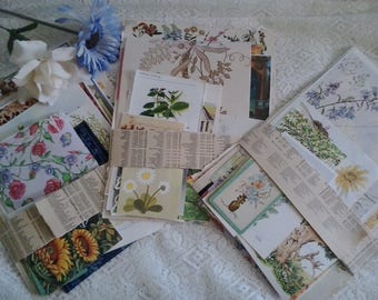 Vintage paper flowers floral flora plant botanical images pictures illustrations for art craft decoupage journals cards collage scrapbooks