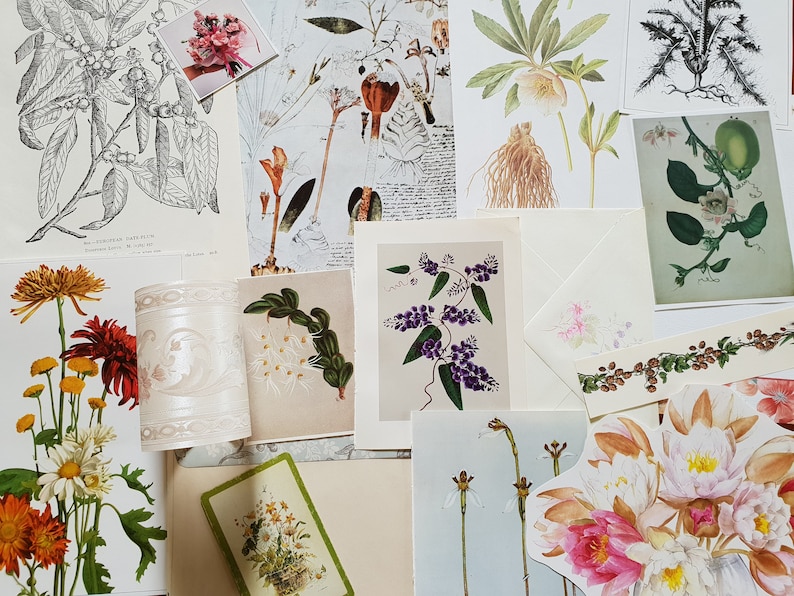 Vintage paper flowers floral flora plant botanical images pictures illustrations for art craft decoupage journals cards collage scrapbooks image 3