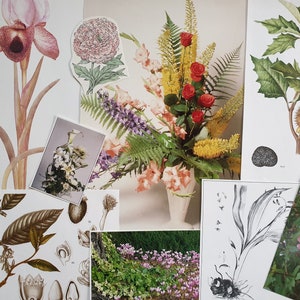 Vintage paper flowers floral flora plant botanical images pictures illustrations for art craft decoupage journals cards collage scrapbooks image 9