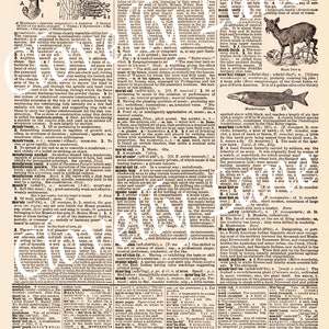 May include: A vintage, illustrated page from a dictionary with definitions for the words "Mushalchee" and "Musk Orchis". The page includes detailed drawings of a mushroom, a musk deer, and a muskellunge fish.