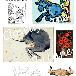 Astrologie Stier Sternzeichen Sternzeichen Vintage Horoskop Bilder instant DIGITAL DOWNLOAD druckbar celestial for art craft journal ephemera cards
