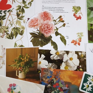Vintage paper flowers floral flora plant botanical images pictures illustrations for art craft decoupage journals cards collage scrapbooks image 4