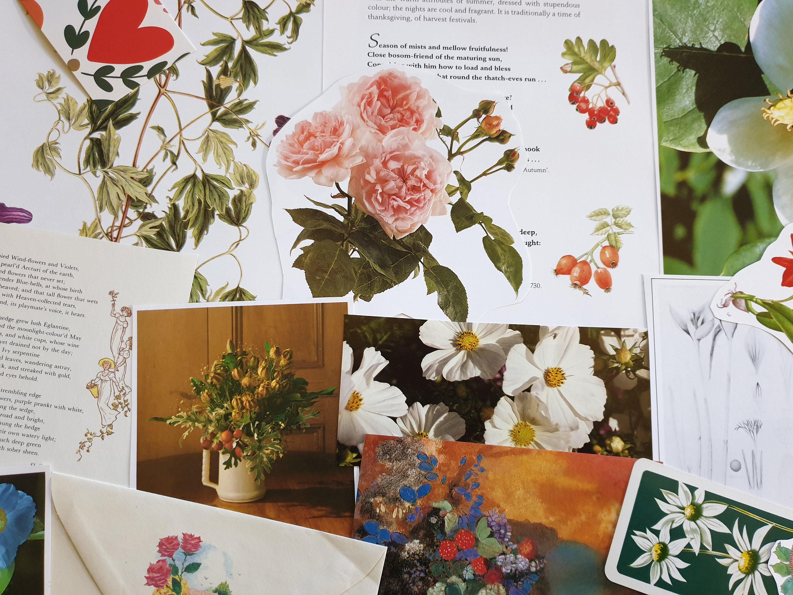 Vintage Paper Flowers Floral Flora Plant Botanical Images Pictures ...