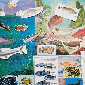 Vintage Papier Fische Frösche Schildkröten & Bilder von anderen unter dem Meer Ozean Wasser Kreaturen für Kunst Handwerk Collage Karten Scrapbook Journal