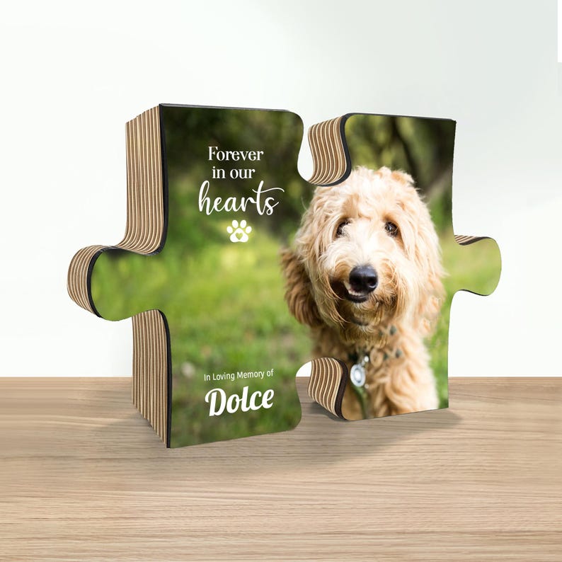 Dog Memorial Gift, Pet Memorial Frame, Pet Loss Gift, Pet Memorial, Dog Sympathy Gift, Cat Memorial, Pet Sympathy Gift, Pet Frame Photo image 1