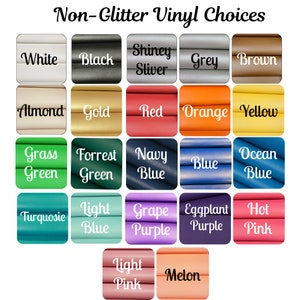 May include: A color chart of non-glitter vinyl choices. The chart displays 20 color swatches, each labeled with a color name. Colors include white, black, grey, brown, red, orange, yellow, green, blue, purple, and pink.