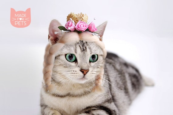 Pruik voor kat Kat accessoires pet kat Hoed voor kat - Etsy Nederland