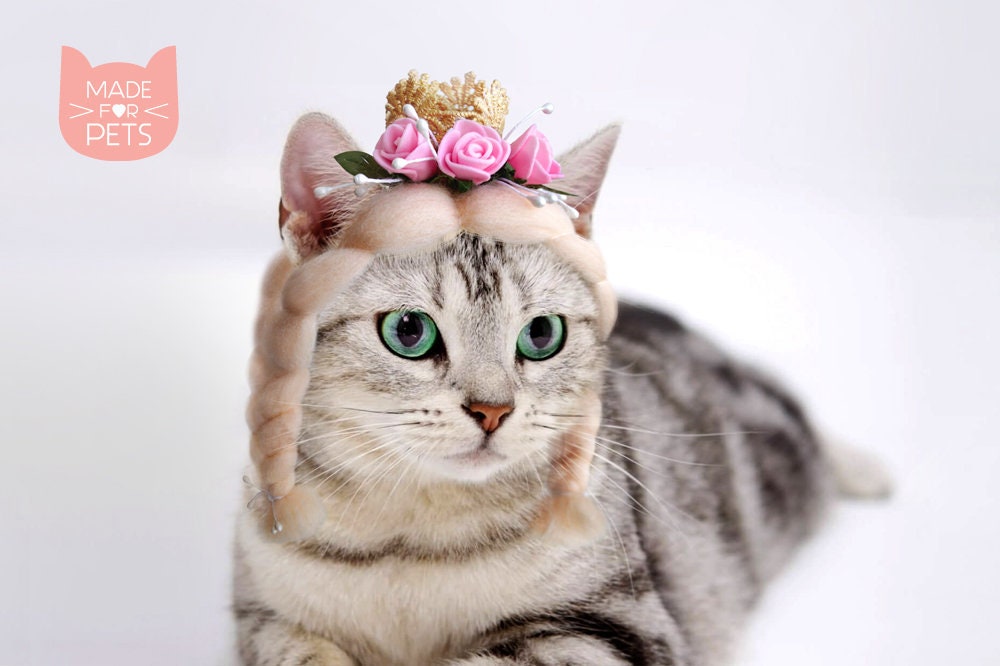 Perruque Pour Chat Accessoires De Chat Chapeau Pour Chat Etsy Perruque Pour Chat Accessoires De Chat Chapeau Pour Chat Etsy