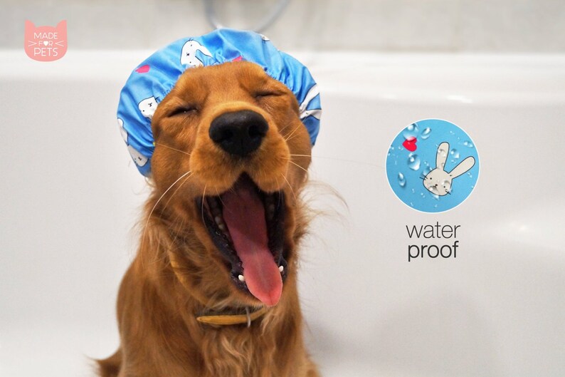 waterproof dog hat