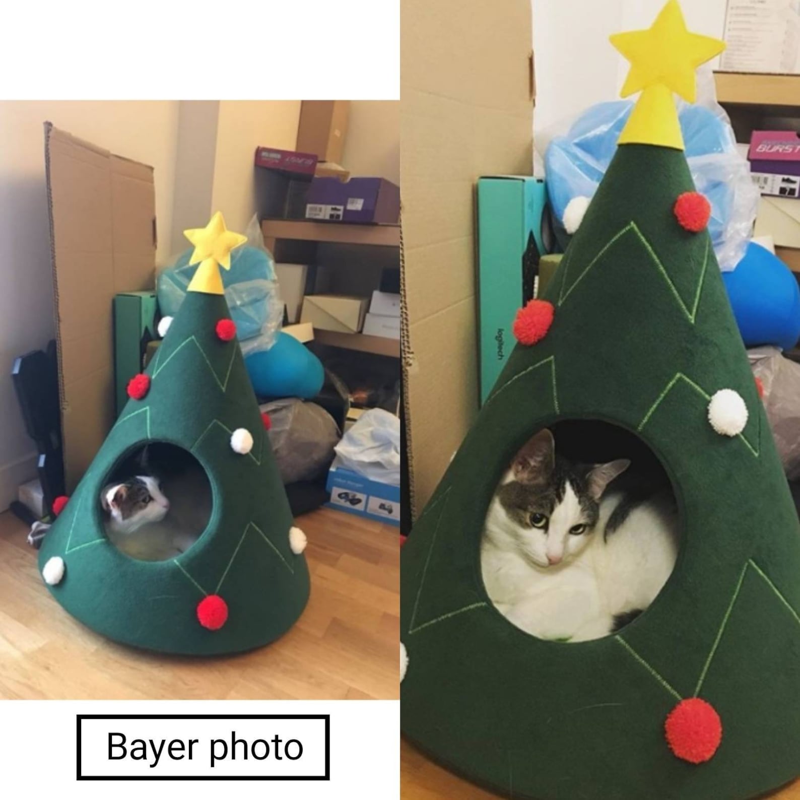 Christmas tree cat house Cat furniture Christmas gift idea Pet Etsy