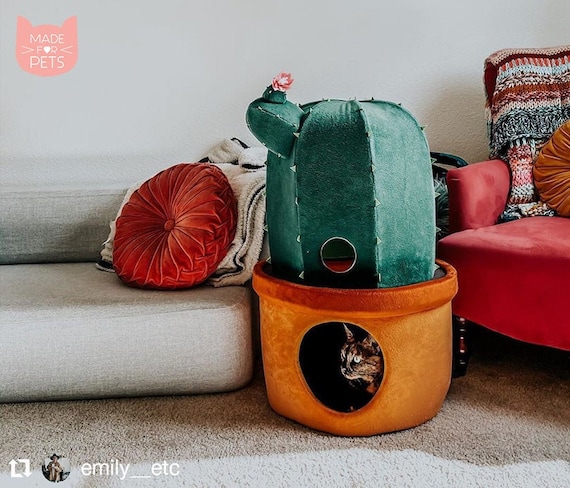 cactus cat bed