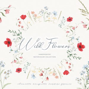 Wild Flowers Watercolor Handpainted Collection, Clipart Bundle, Watercolor Borders, Summer Wild Flower, Clipart Field, Flowers png, Clipart