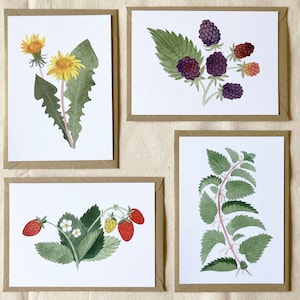 4 cartes pour correspondance Haie