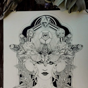 FREAKS of NATURE Stampa A3 su carta - teschio falena arte balinese geometria sacra drago