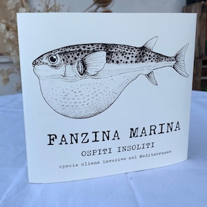 FANZINA MARINA . serigrafia a mano edizione limitata . illustrazione marina su carta . oceano granchio blu pesce palla mare mediterraneo