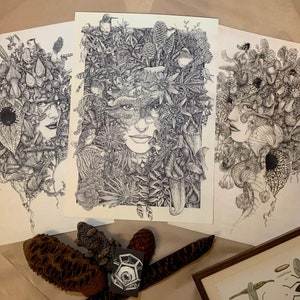 NATURA Serie di 3 stampe di illustrazione botanica su carta . giungla nepenthes pianta carnivora aristolochia monstera tillandsia mantide