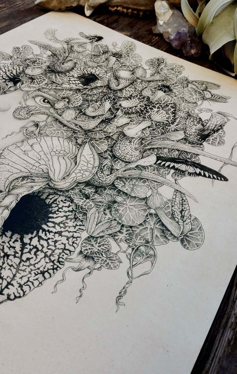 GRANDIFLORA Canvas Art Print Aristolochia Plant | Etsy