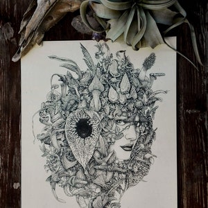ARISTOLOCHIA ERIANTHA stampa botanica su carta A3 . pianta tropicale arte psichedelica