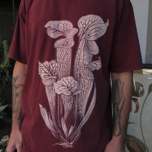 CARNIVOROUS PLANT oversize t-shirt . Sarracenia leucophylla . Trumpet pitchers . certified organic cotton . fair wear . discharge ink