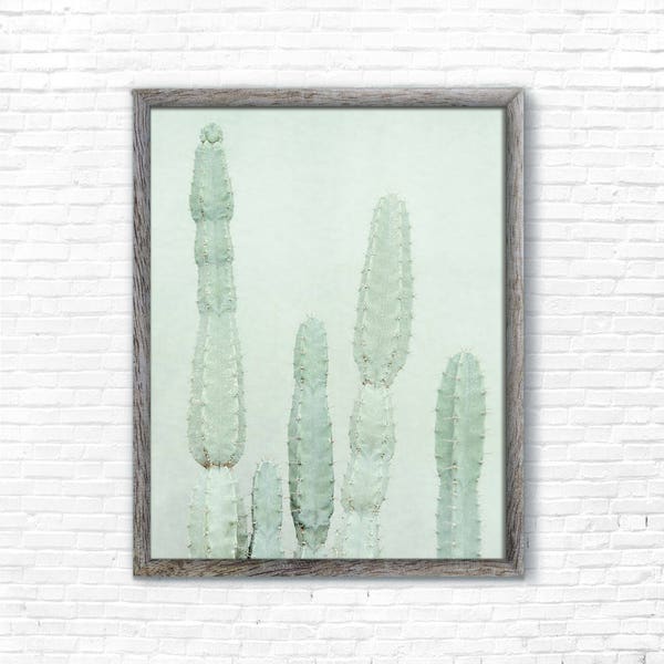 Mint Cactus Poster - Photography, Art, Print, Interior, Interiordesign, Decoration, Decor, Digital Download, Printable Art
